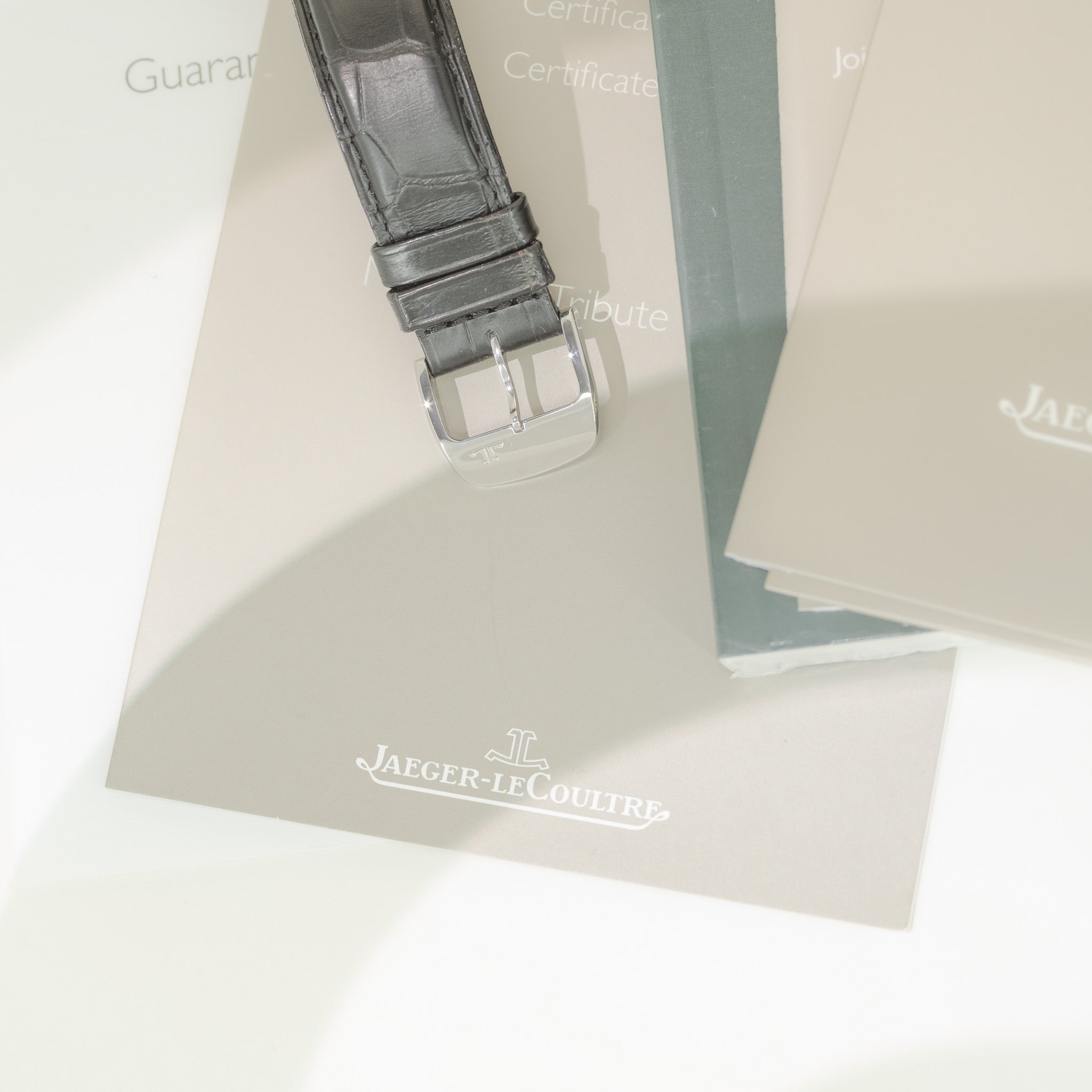 Jaeger-LeCoultre Memovox Tribute to Polaris Ref. 200.84.70
